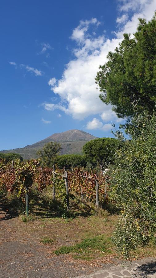 فيلا Beb Casale Pompei Rendine Boscotrecase المظهر الخارجي الصورة