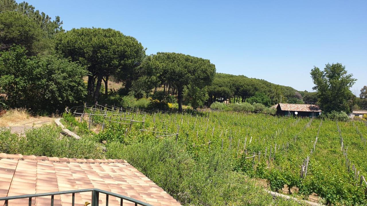 فيلا Beb Casale Pompei Rendine Boscotrecase المظهر الخارجي الصورة